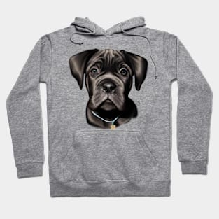 Cute Cane Corso Drawing Hoodie